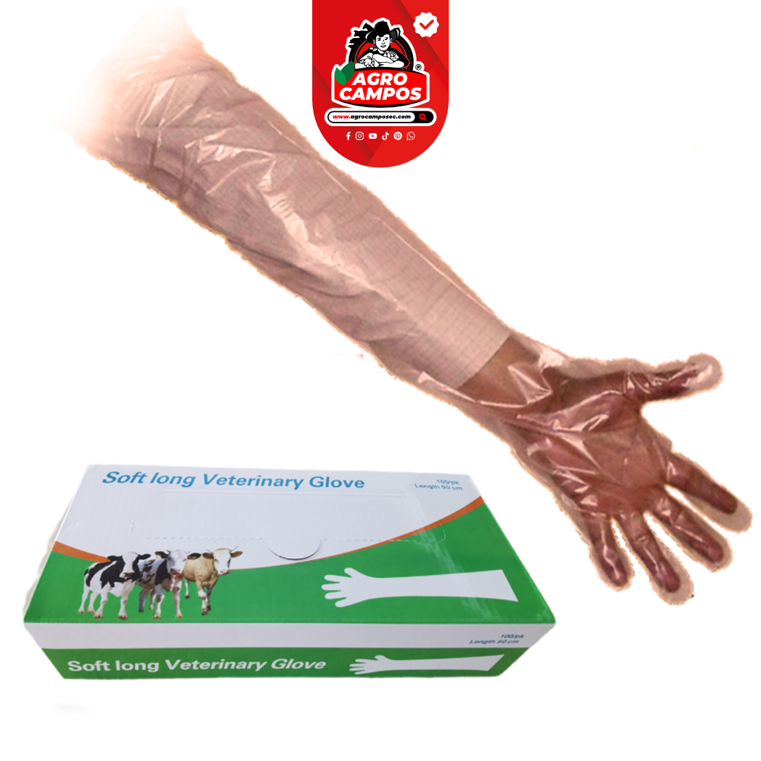 Guantes Ginecológicos