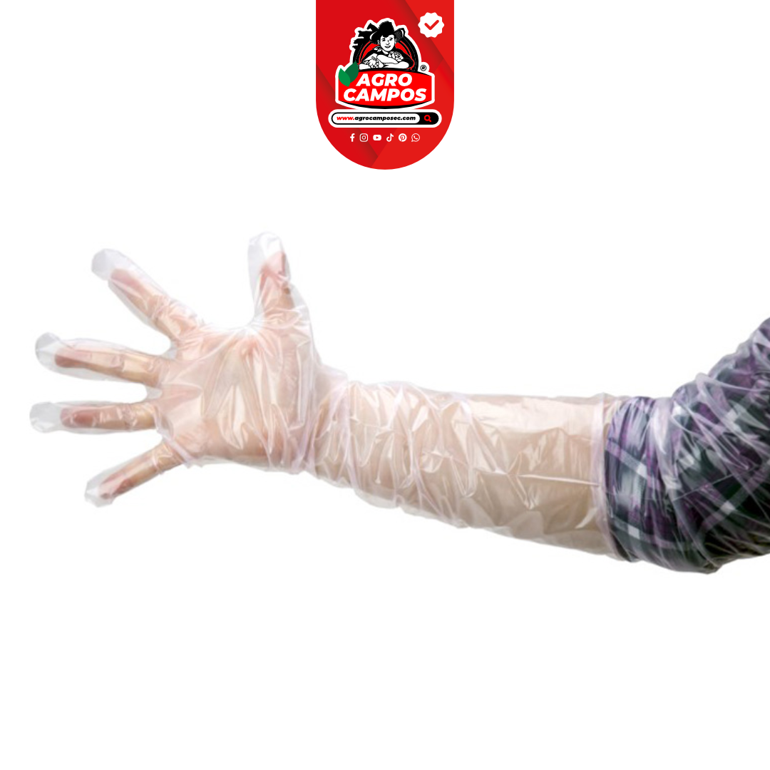 Guantes Ginecológicos