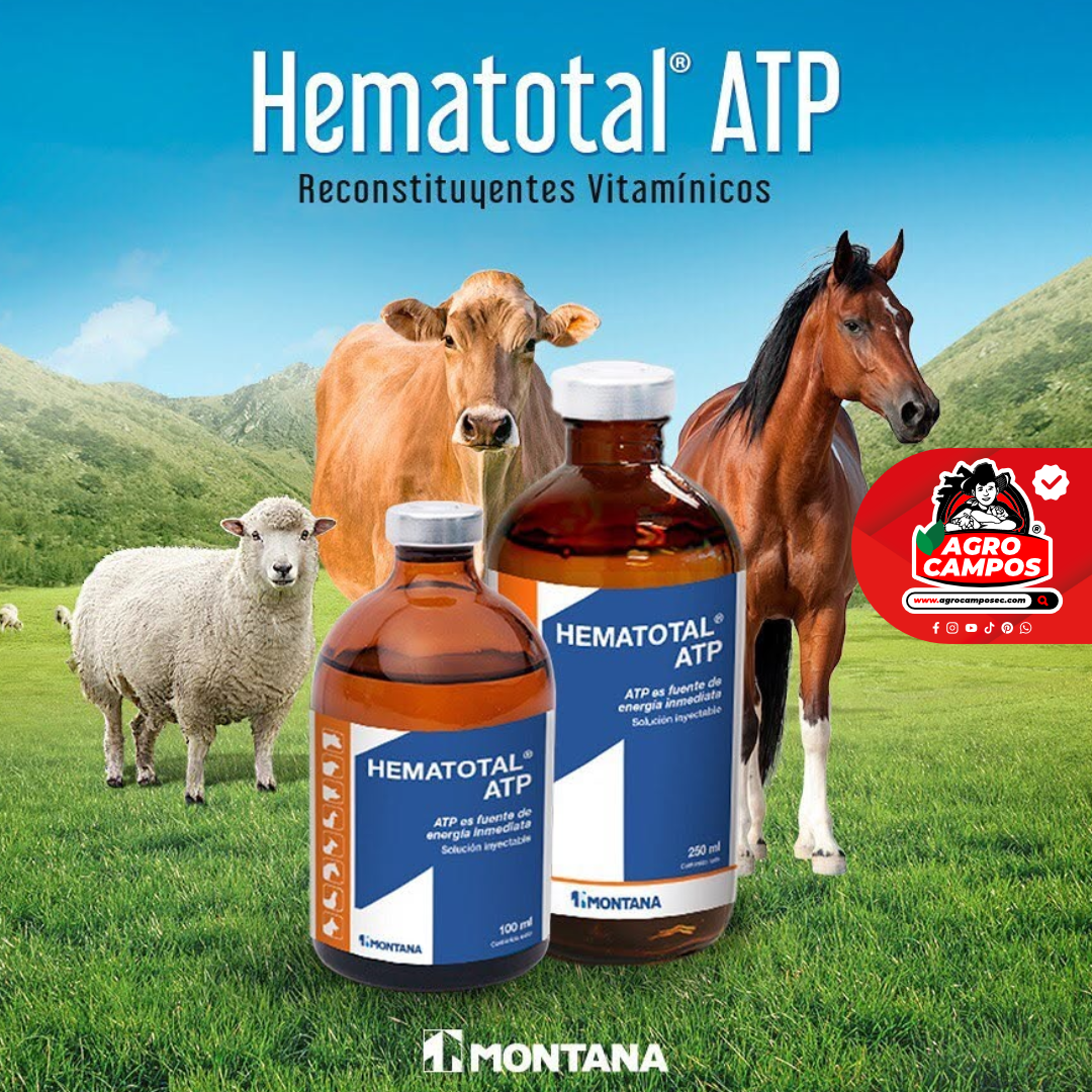 Hematotal ATP