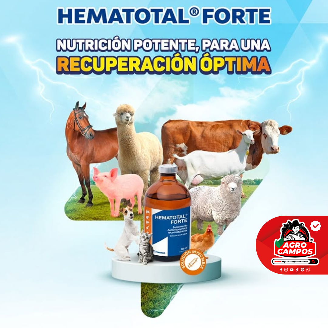 Hematotal Forte