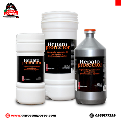 Hepato Protector