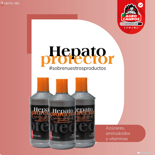 Hepato Protector