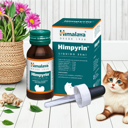 Himpyrin Liquido Antiinflamatorio Natural Perros Razas Pequenas Grandes Ecuador - Agro Campos® Online Store

