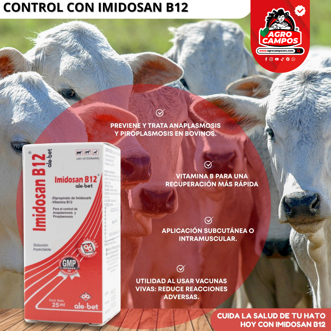 Imidosan B12