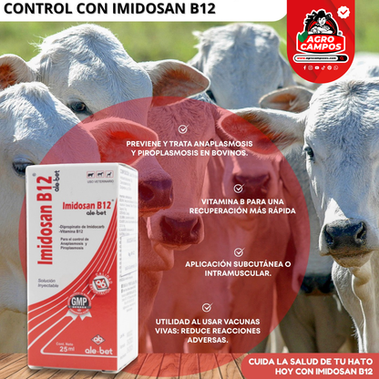 Imidosan B12