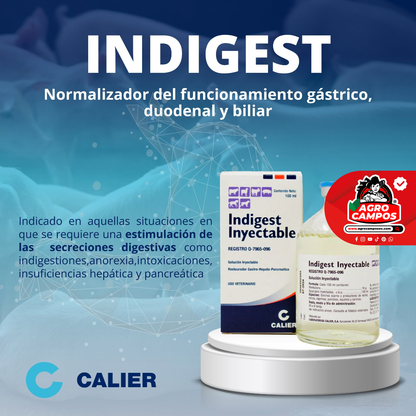 Indigest