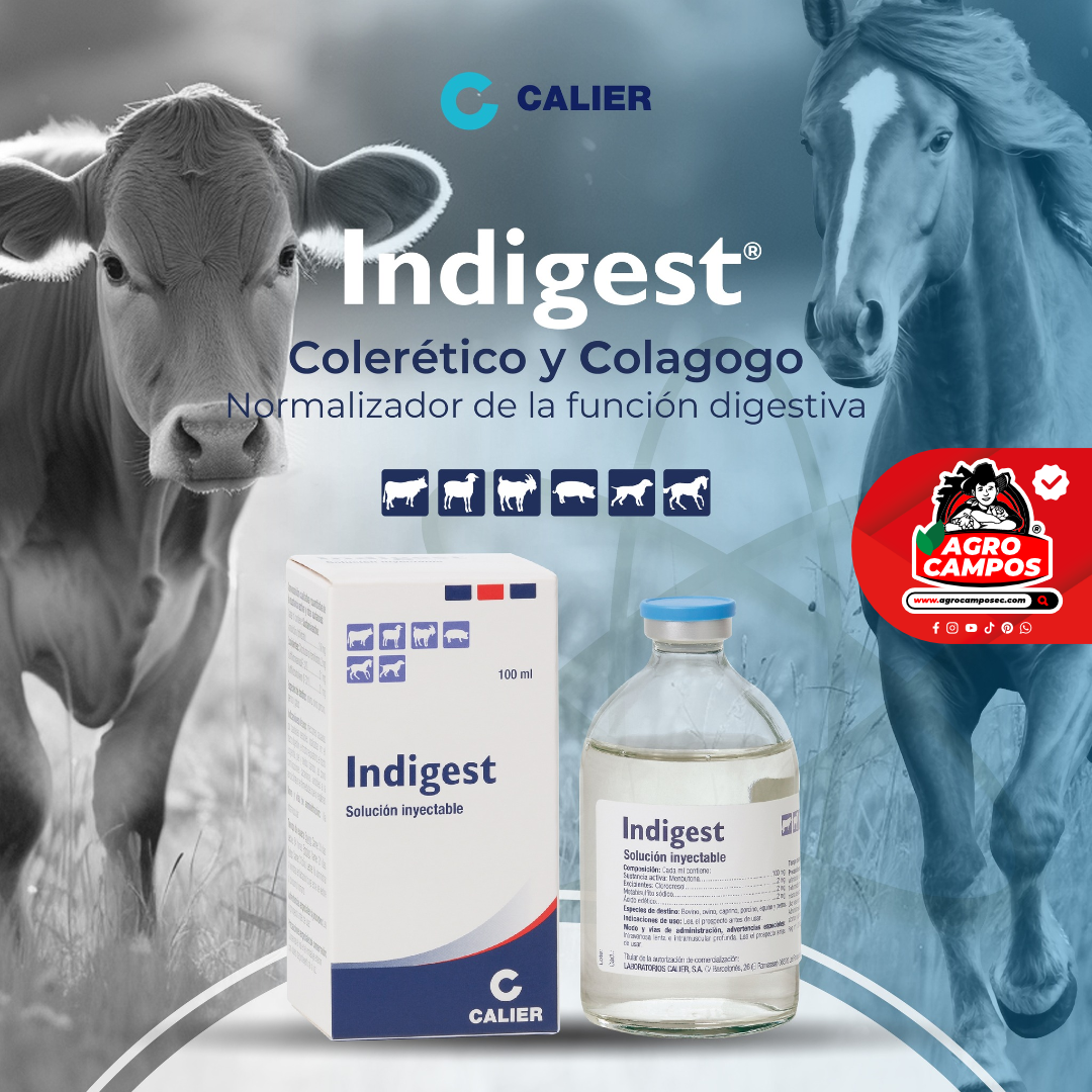 Indigest