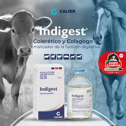 Indigest