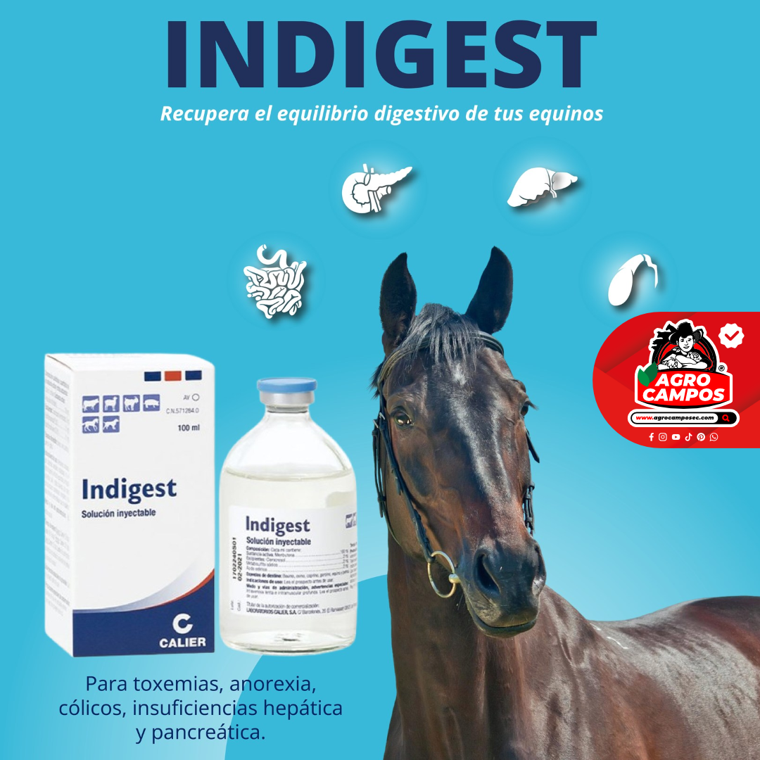 Indigest