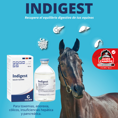 Indigest