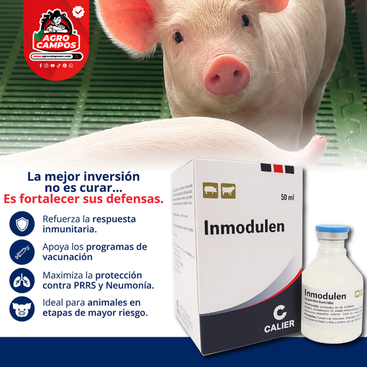 Inmodulen