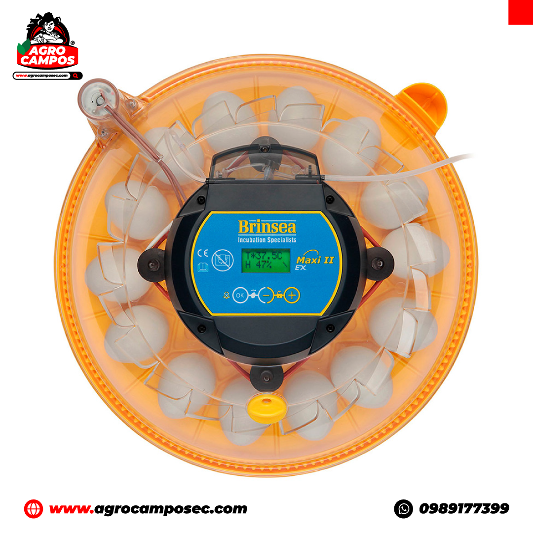 Incubadora Automática Brinsea Maxi EX de 24 Huevos 110 V