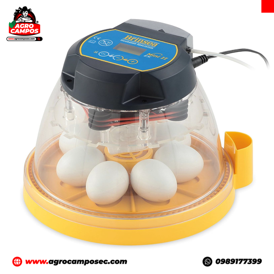 Incubadora Automática Brinsea Mini II EX de 7 Huevos 110 V