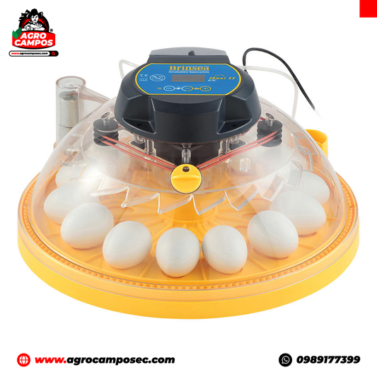 Incubadora Automática Brinsea Maxi EX de 24 Huevos 110 V