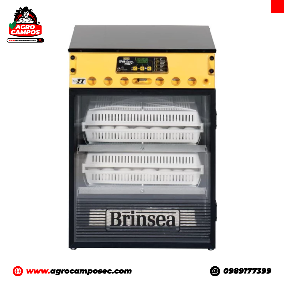 Incubadora Automática Brinsea Ova Easy de 100 Huevos 110 V