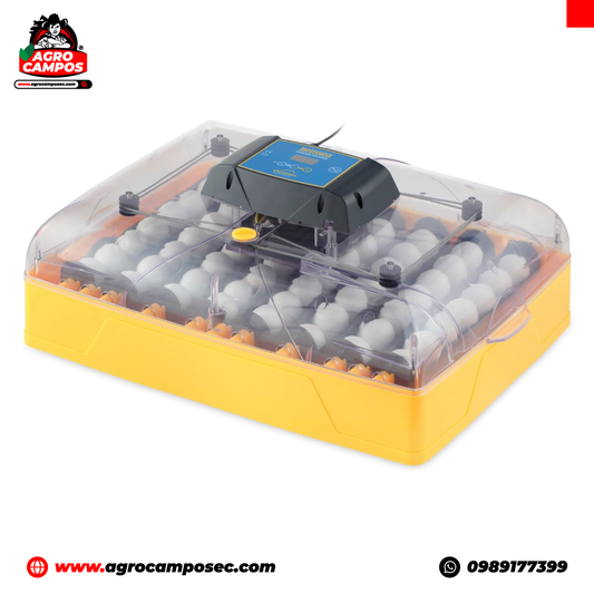 Incubadora Automática Brinsea Ovation de 56 Huevos 110 V