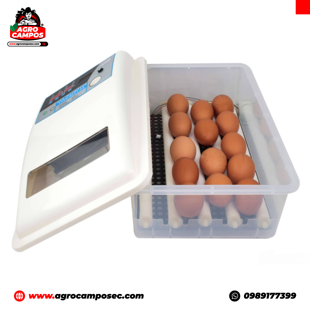 Incubadora Automática de 24 Huevos con Rodillos 110 V