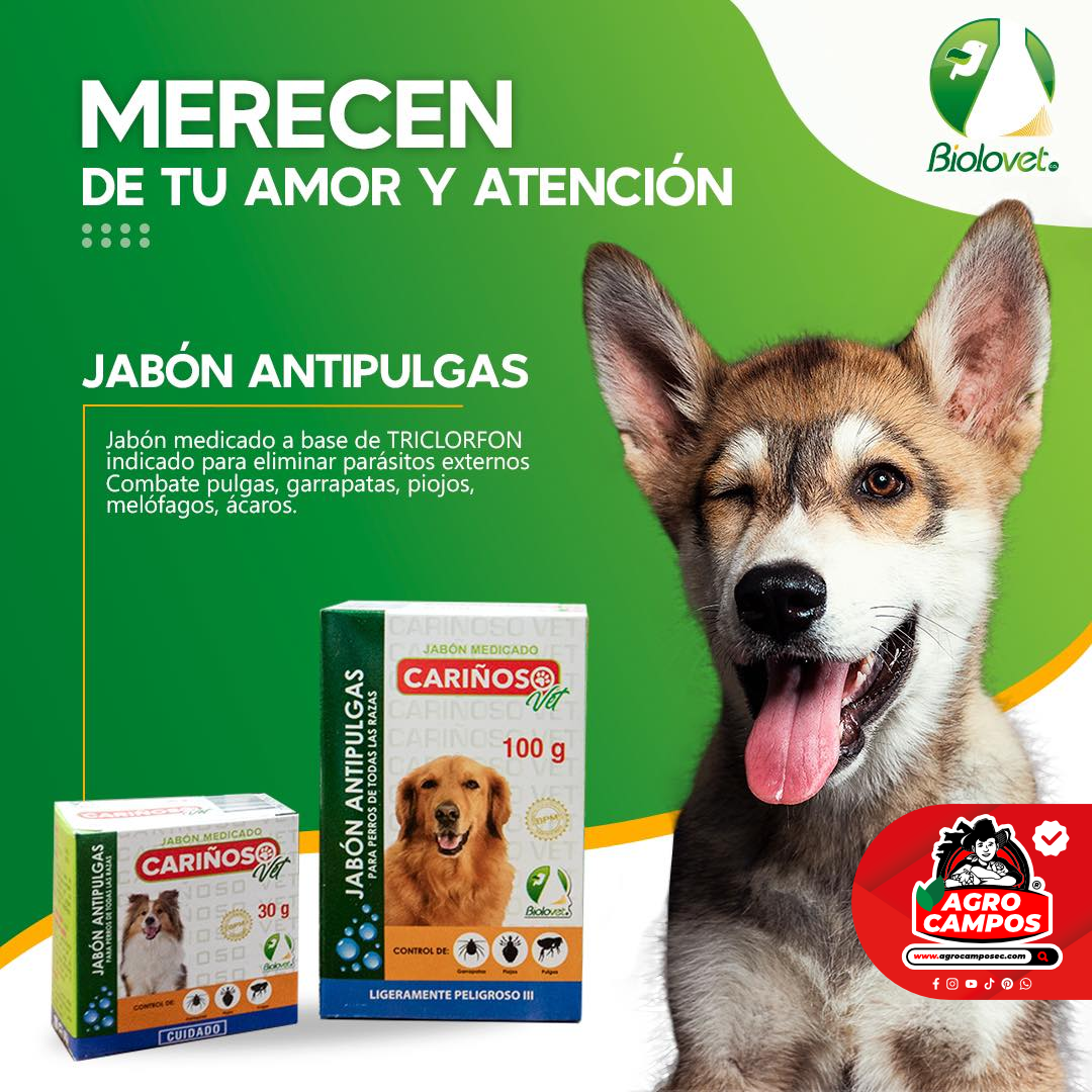 Jabón Cariñoso