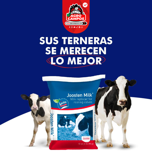 Leche Joosten Milk