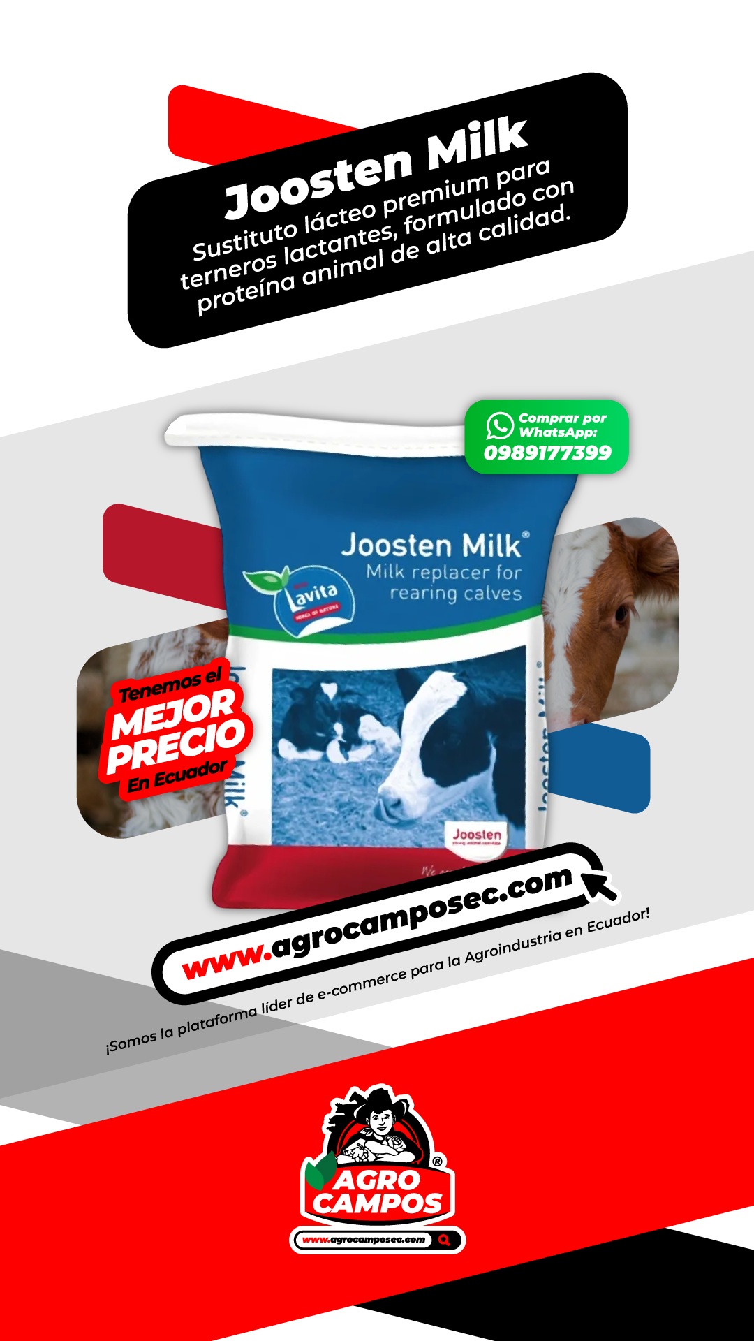 Joosten Milk Sustituto Lacteo Vitaminas Minerales Terneros Bovinos Ecuador - Agro Campos® Online Store
