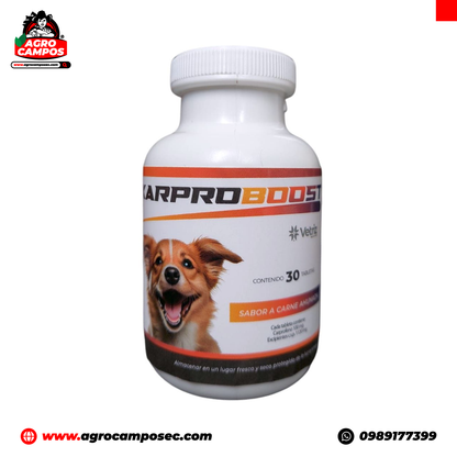 Karproboost