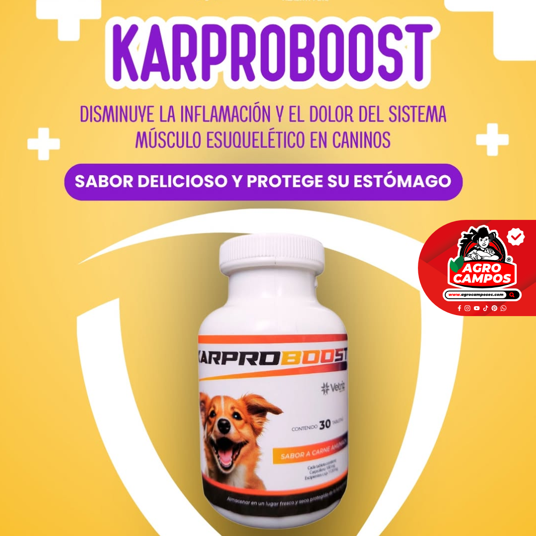 Karproboost