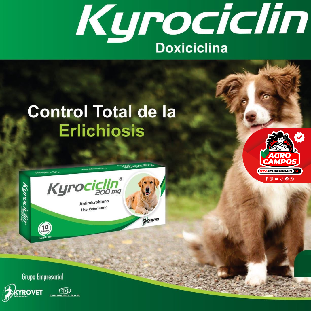 Kyrociclin Tabletas