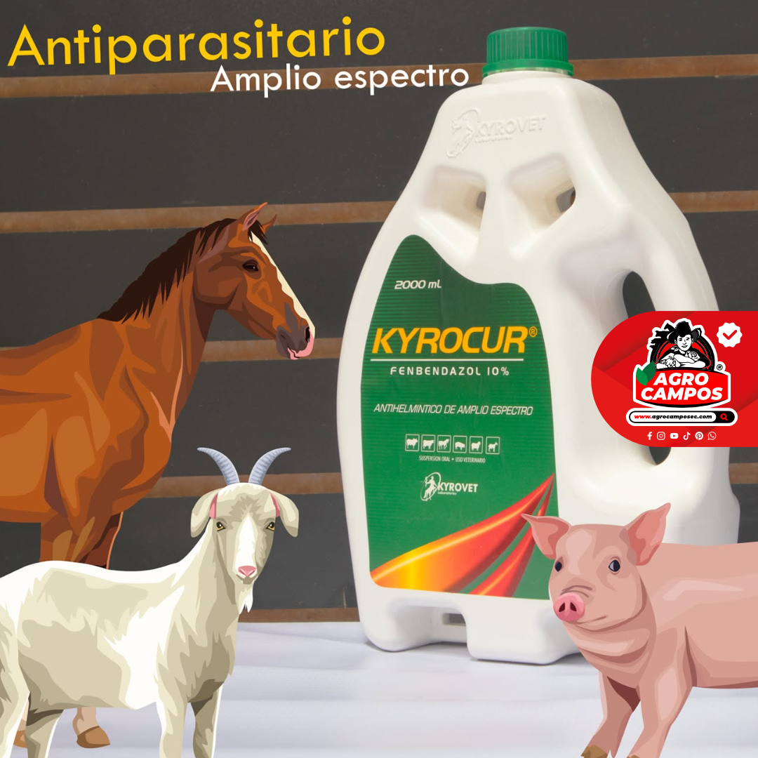 Kyrocur