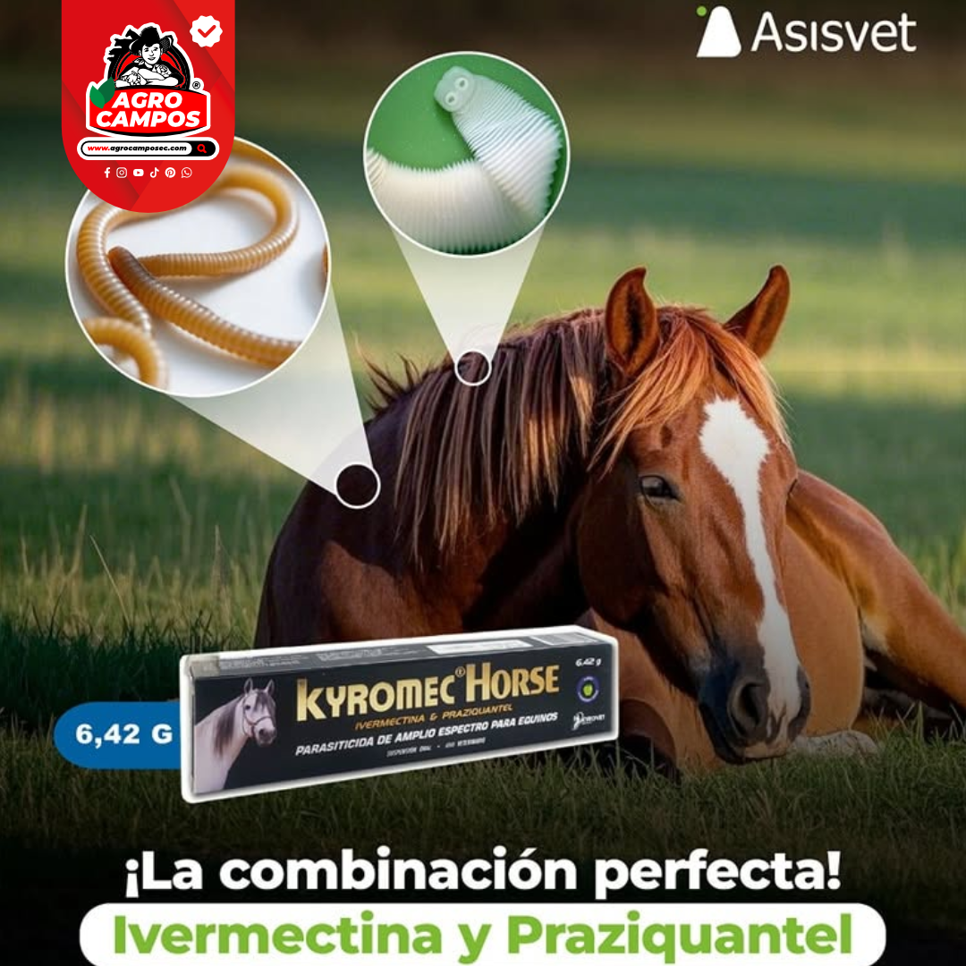 Kyromec Horse