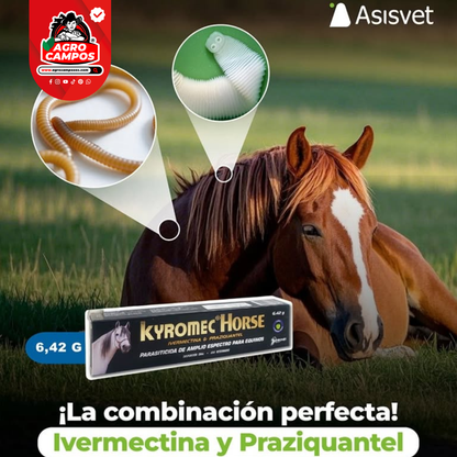 Kyromec Horse