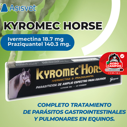 Kyromec Horse