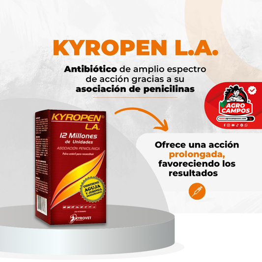 Kyropen LA