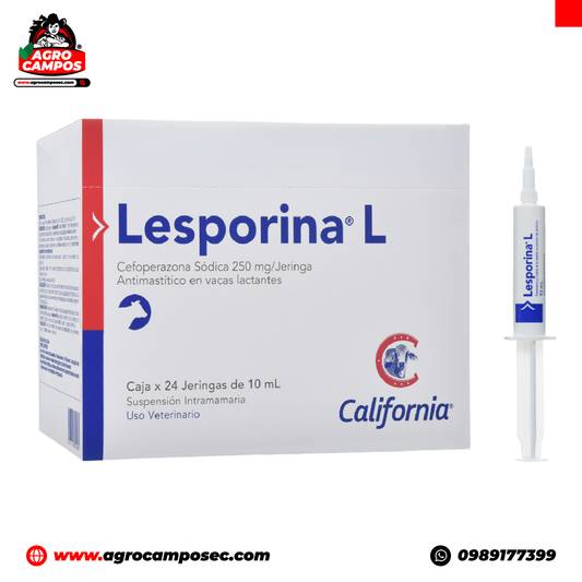 Lesporina L
