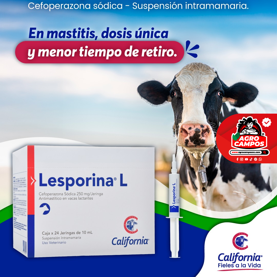 Lesporina L