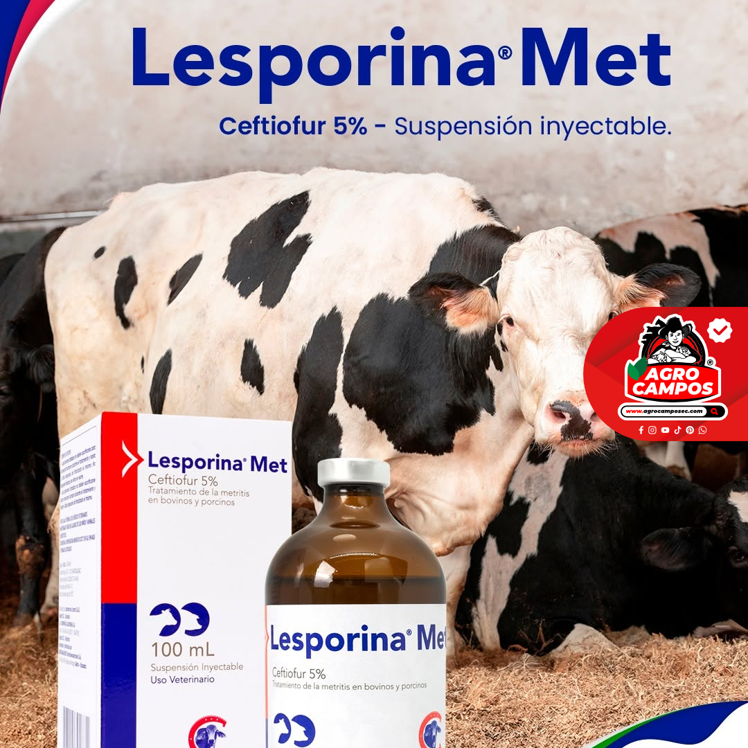 Lesporina Met