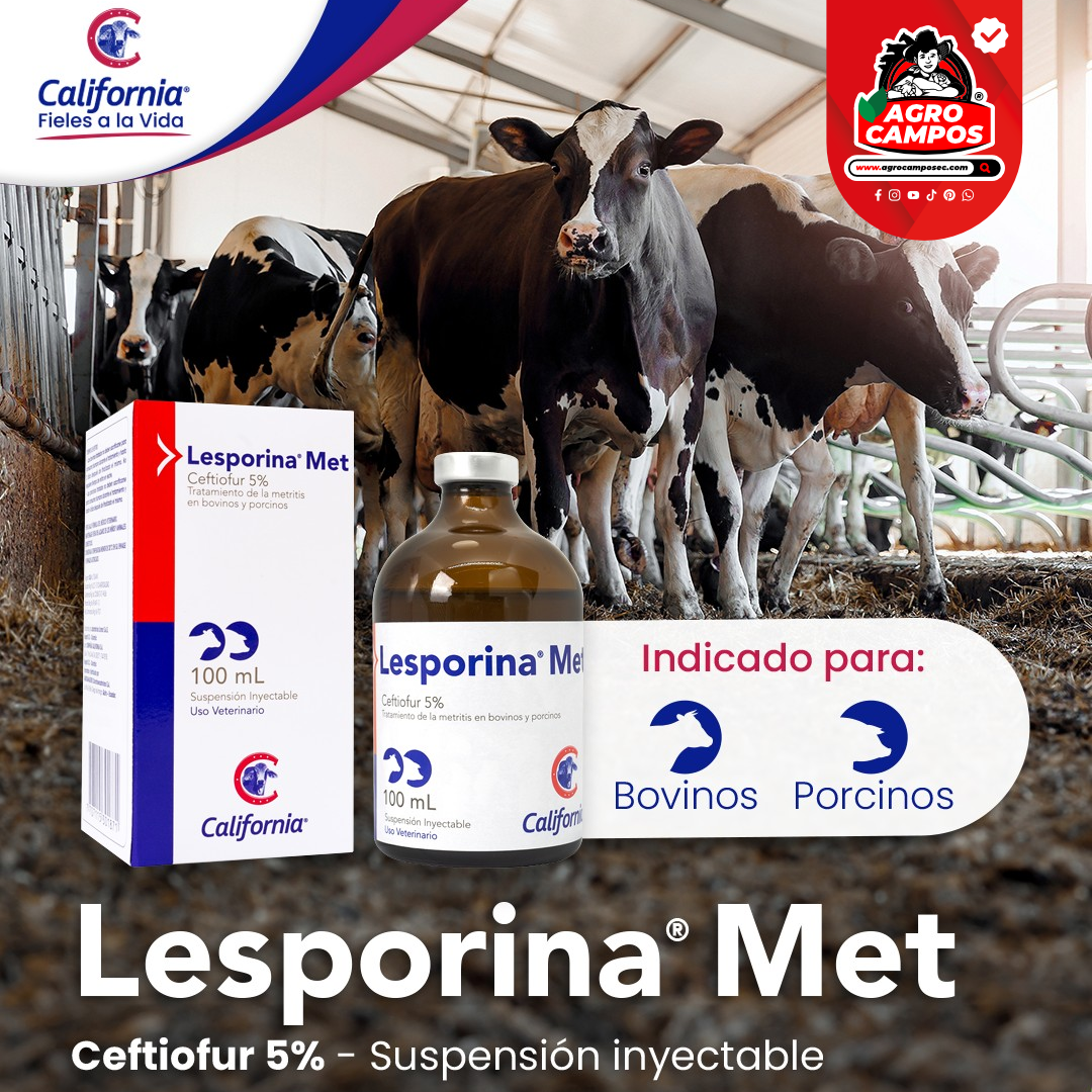 Lesporina Met