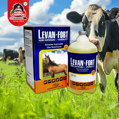 Levan Fort Iny.