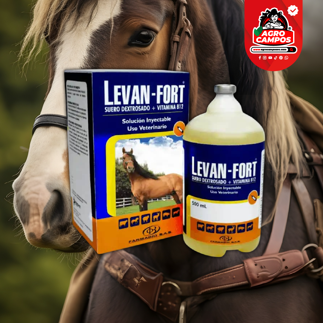 Levan Fort Iny.