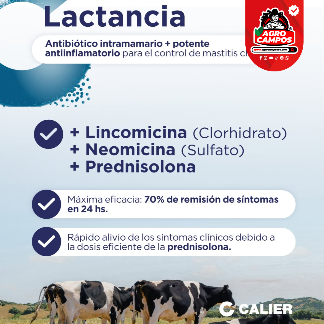 Linalten Lactancia