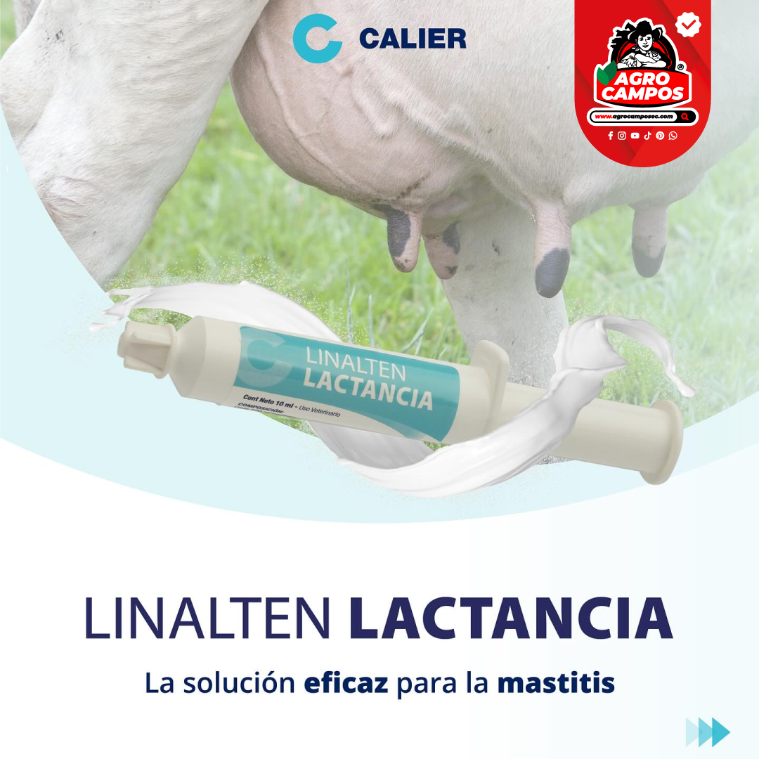 Linalten Lactancia