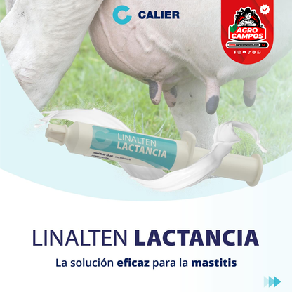 Linalten Lactancia