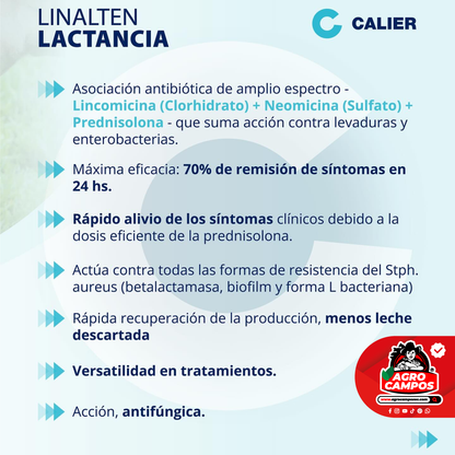 Linalten Lactancia