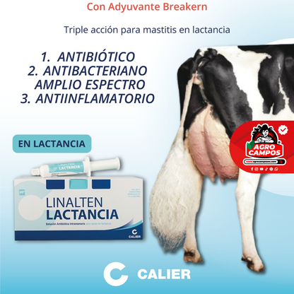 Linalten Lactancia