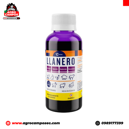 Llanero