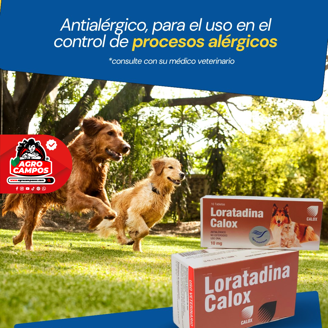 Loratadina Calox