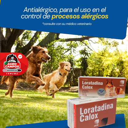 Loratadina Calox