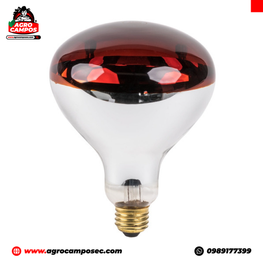 Lámpara Infrarroja para Lechones 250 W 110 V