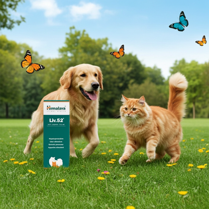 Liv 52 Vet Himalaya Coadyuvante Distemper Parvovirus Soporte Hepatico Mascotas Ecuador - Agro Campos® Online Store