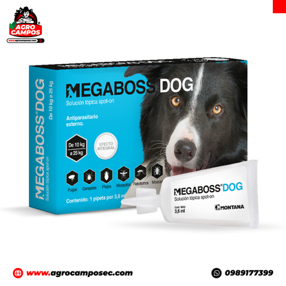 Megaboss Dog