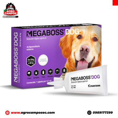 Megaboss Dog
